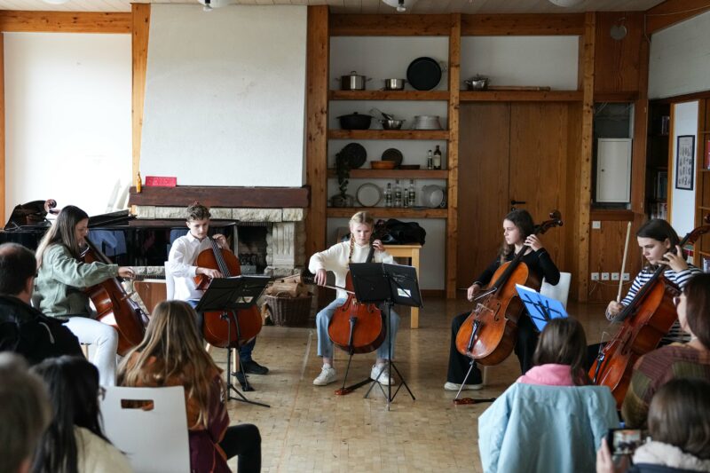 Infotag Kaminzimmer Streichensemble