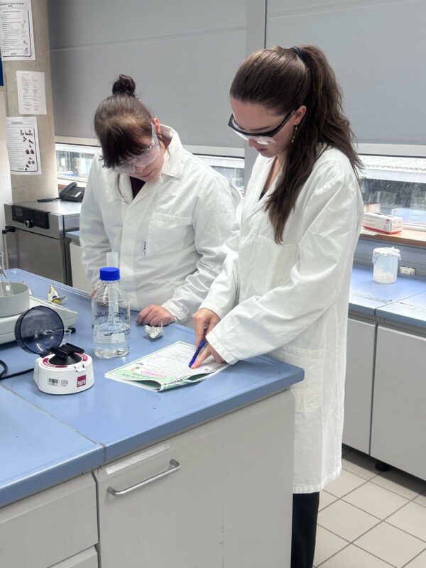 Bakteriendiagnostik, Schülerlabor, Universität Koblenz, Projekt MSS 13 Biologie-Leistungskurs