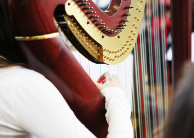 Instrumentalunterricht am Landesmusikgymnasium RLP