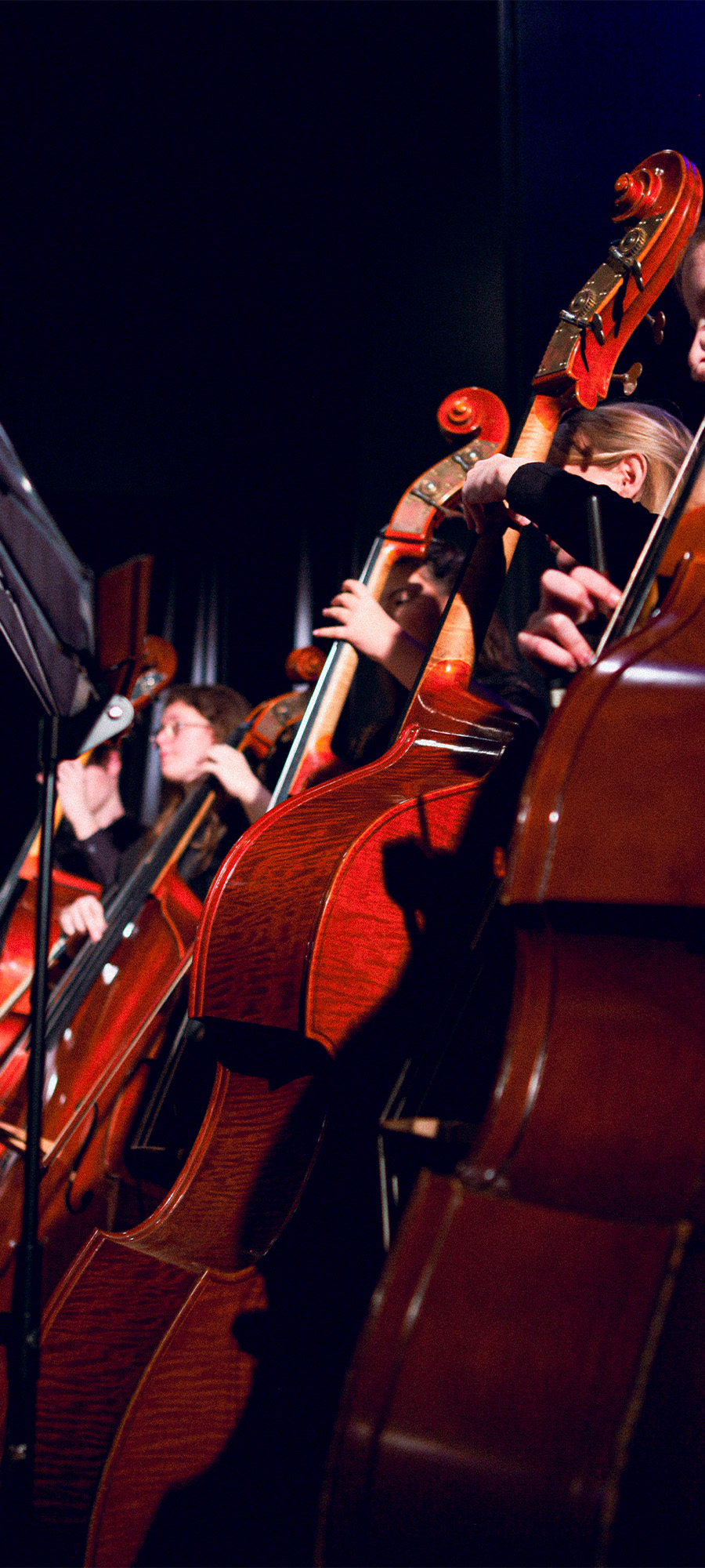 Landesmusikgymnasium RLP Sinfonieorchester