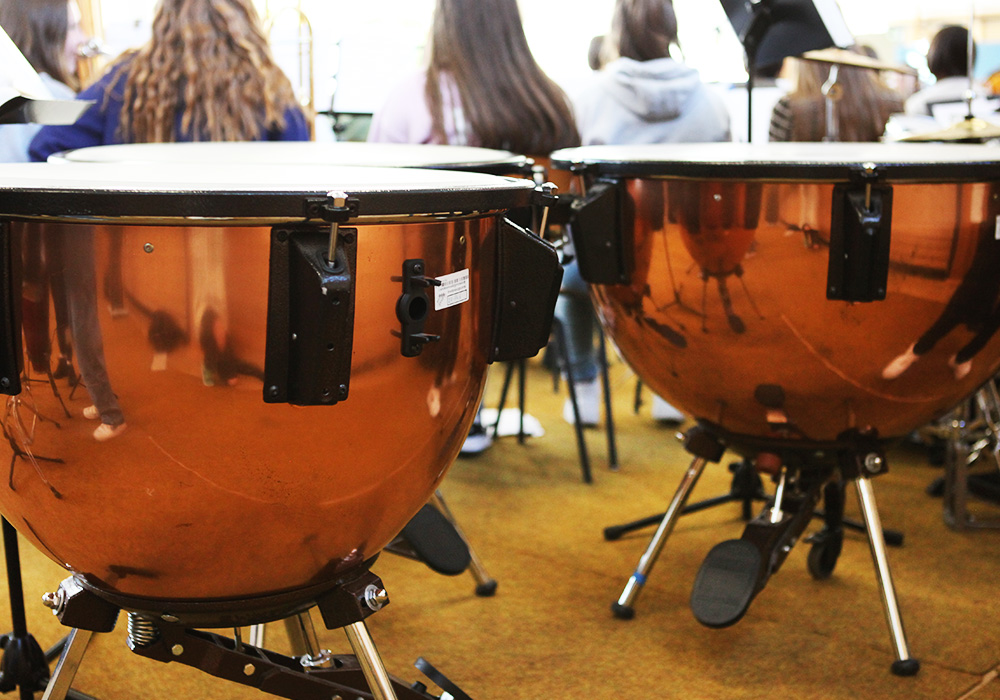 Percussionsensemble am landesmusikgymnasium RLP